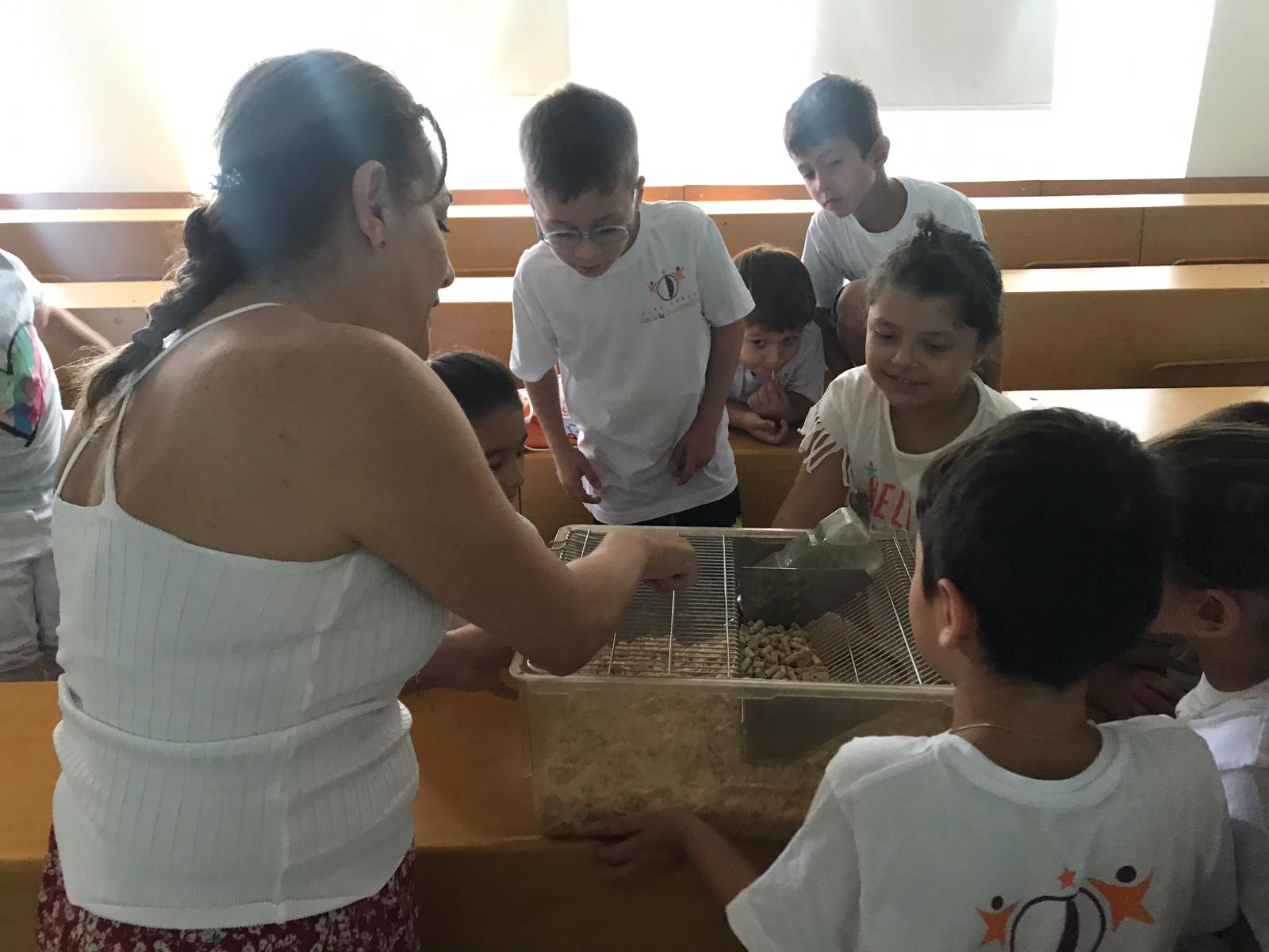 ozay gunsel cocuk universitesi